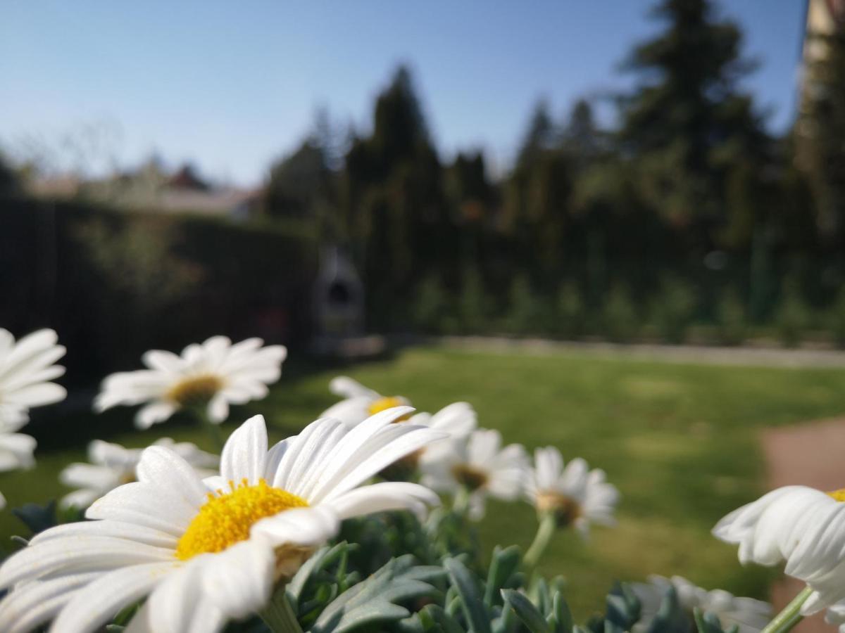 Balaton Apartman Fuered バラトンフレド エクステリア 写真