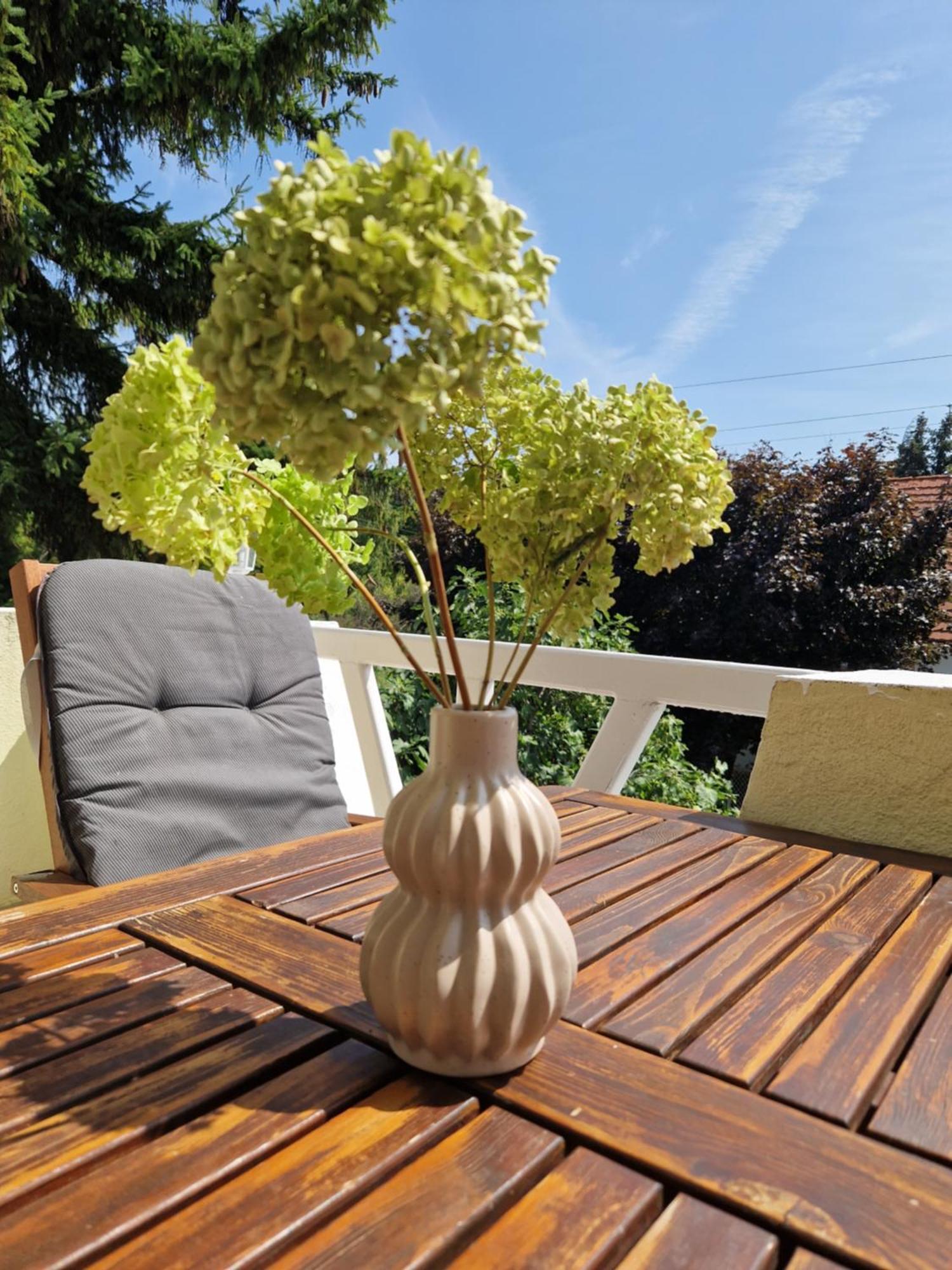 Balaton Apartman Fuered バラトンフレド エクステリア 写真