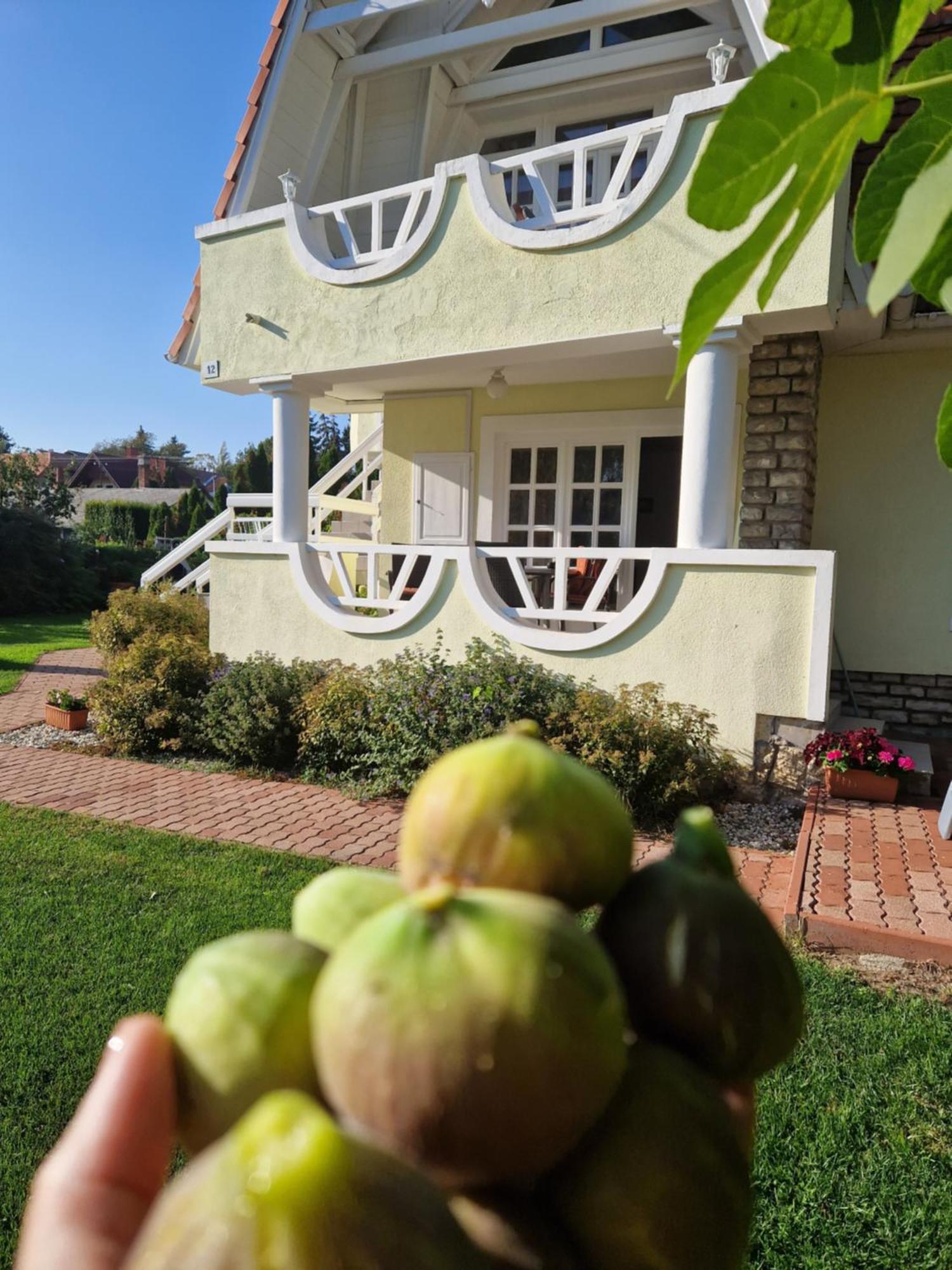 Balaton Apartman Fuered バラトンフレド エクステリア 写真